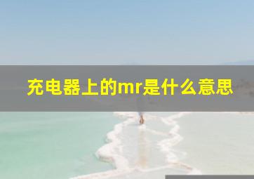 充电器上的mr是什么意思