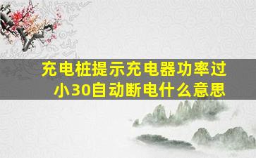 充电桩提示充电器功率过小30自动断电什么意思