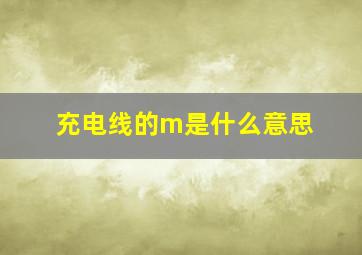 充电线的m是什么意思