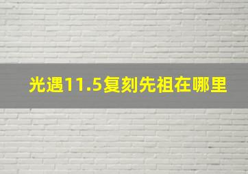 光遇11.5复刻先祖在哪里