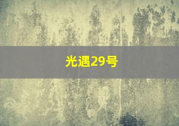 光遇29号