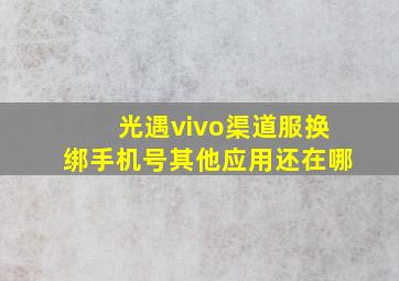 光遇vivo渠道服换绑手机号其他应用还在哪