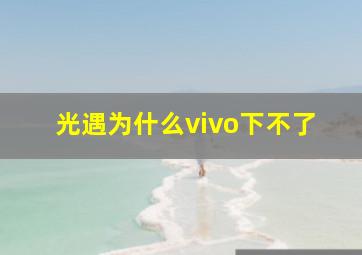 光遇为什么vivo下不了