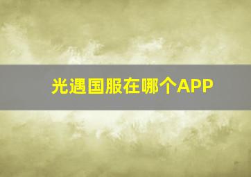 光遇国服在哪个APP