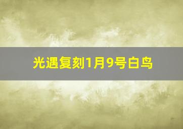 光遇复刻1月9号白鸟