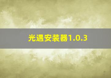 光遇安装器1.0.3