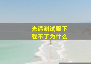 光遇测试服下载不了为什么