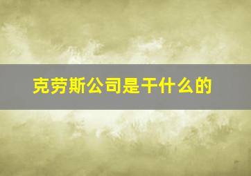 克劳斯公司是干什么的