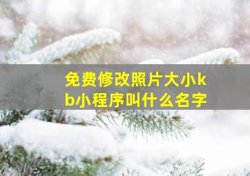 免费修改照片大小kb小程序叫什么名字