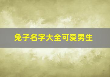 兔子名字大全可爱男生