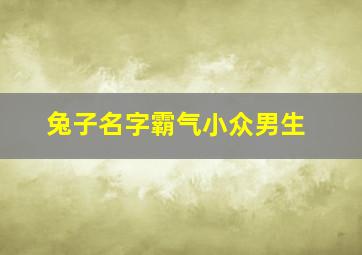 兔子名字霸气小众男生