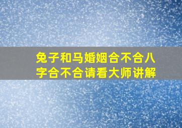 兔子和马婚姻合不合八字合不合请看大师讲解