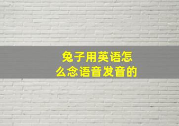 兔子用英语怎么念语音发音的