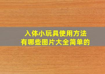 入体小玩具使用方法有哪些图片大全简单的