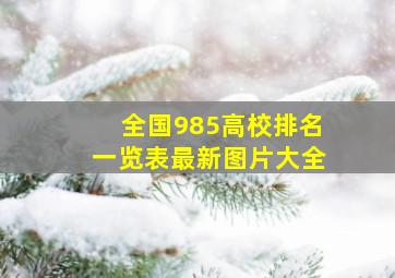 全国985高校排名一览表最新图片大全