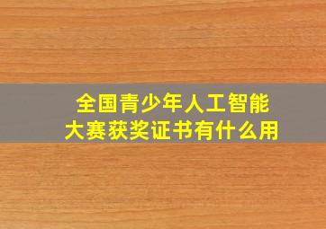 全国青少年人工智能大赛获奖证书有什么用