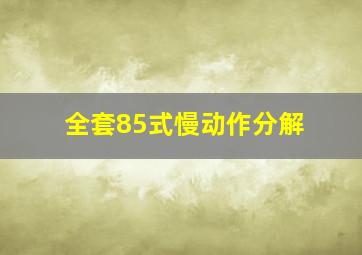 全套85式慢动作分解