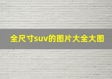 全尺寸suv的图片大全大图