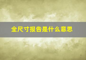 全尺寸报告是什么意思