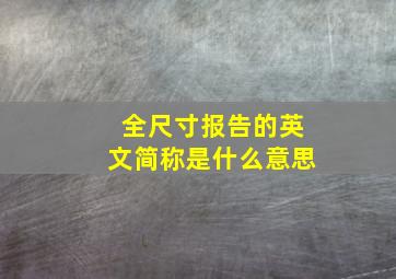 全尺寸报告的英文简称是什么意思