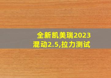 全新凯美瑞2023混动2.5,拉力测试