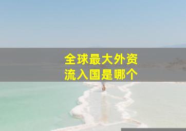 全球最大外资流入国是哪个