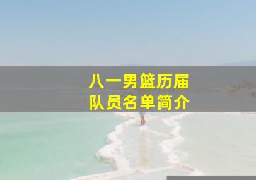 八一男篮历届队员名单简介