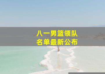 八一男篮领队名单最新公布