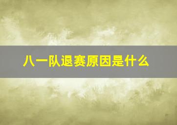 八一队退赛原因是什么