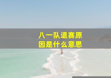 八一队退赛原因是什么意思