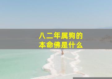 八二年属狗的本命佛是什么