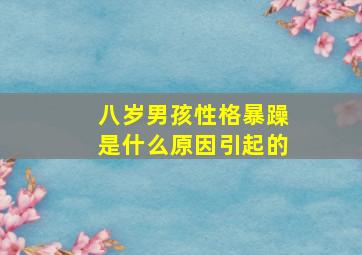 八岁男孩性格暴躁是什么原因引起的