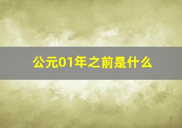 公元01年之前是什么