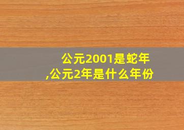 公元2001是蛇年,公元2年是什么年份