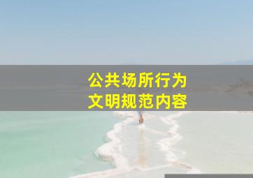 公共场所行为文明规范内容