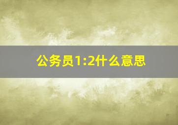 公务员1:2什么意思