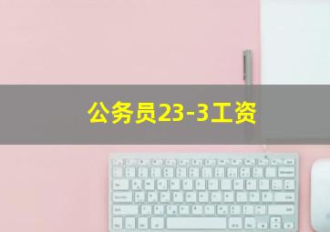 公务员23-3工资