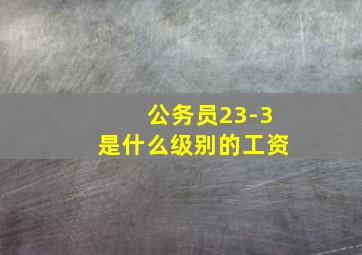 公务员23-3是什么级别的工资