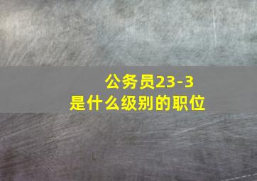 公务员23-3是什么级别的职位