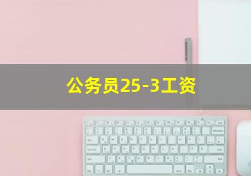 公务员25-3工资