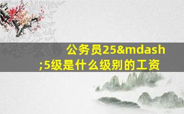 公务员25—5级是什么级别的工资