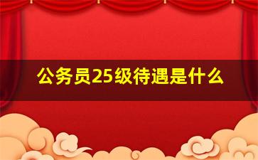 公务员25级待遇是什么