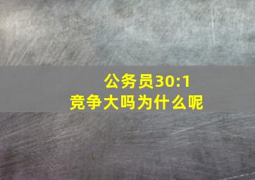 公务员30:1竞争大吗为什么呢