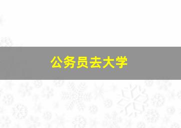 公务员去大学