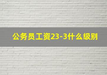 公务员工资23-3什么级别