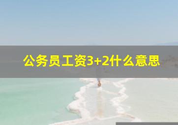 公务员工资3+2什么意思