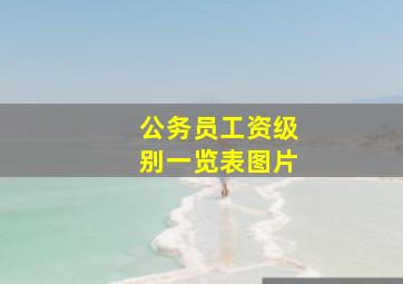 公务员工资级别一览表图片