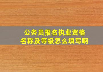 公务员报名执业资格名称及等级怎么填写啊