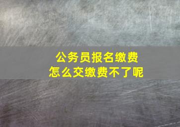 公务员报名缴费怎么交缴费不了呢