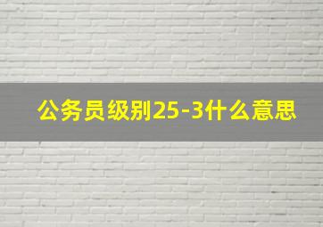 公务员级别25-3什么意思